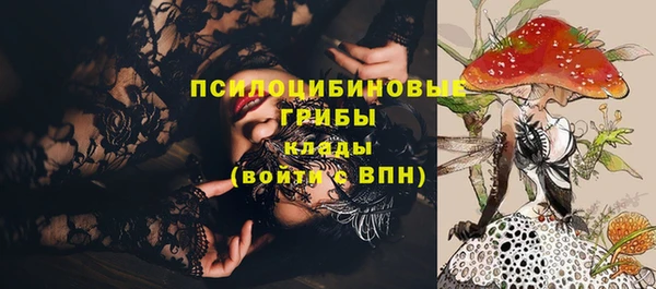 Альфа ПВП Нея