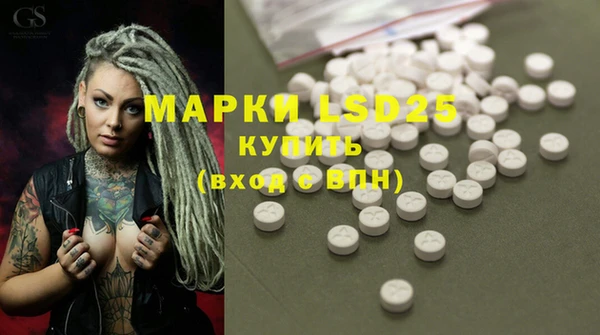 PSILOCYBIN Нефтекумск