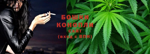 PSILOCYBIN Нефтекумск