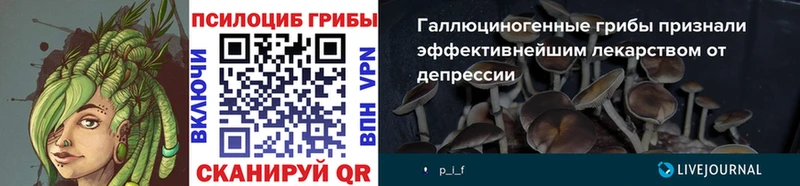где купить наркоту  Уссурийск  маркетплейс состав  Галлюциногенные грибы GOLDEN TEACHER 