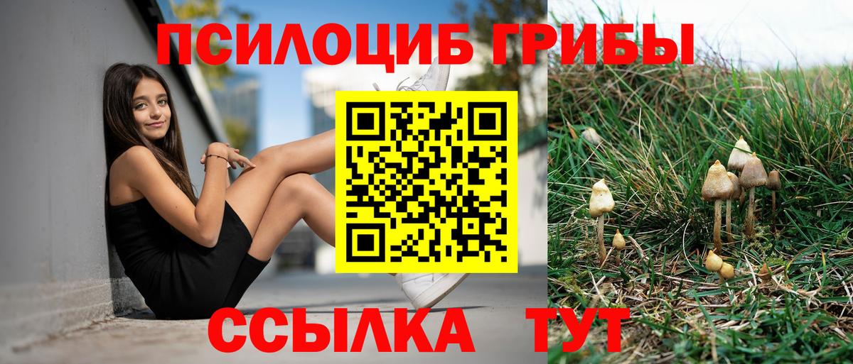 Галлюциногенные грибы мухоморы Уссурийск